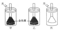 某生物興趣小組為探究綠色植物的 光合作用和呼吸作用,設(shè)計了如下實驗裝置.請分析作答: (1) 若要探究光是光合作用的必要條件.應(yīng)該選擇的實驗裝置組合是 .若要探究氧氣是由綠色植物在光下產(chǎn)生的.應(yīng)該選擇的實驗裝置組合是 .(2) 甲裝置試管中收集的氣體可以使帶火星的衛(wèi)生香復(fù)燃.說明綠色植物的光合作用釋放出 .(3) 有同學(xué)利用甲裝置進(jìn)行了進(jìn)一步探究,實驗題目和參考答案-