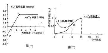 在一定實驗條件下.測得某綠色植物的光合作用和細(xì)胞呼吸分別如圖所示.用32p標(biāo)記的礦質(zhì)營養(yǎng)液培養(yǎng)某植物幼苗一段時間后.在根細(xì)胞中檢測和推斷32p的累積量.吸收量和運輸量如圖